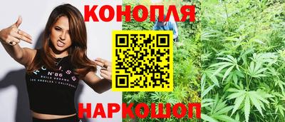 крисы Анапа