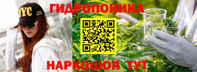 крисы Анапа